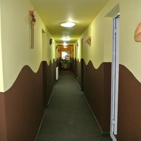 Guest house Pensiunea Serbeca 2*