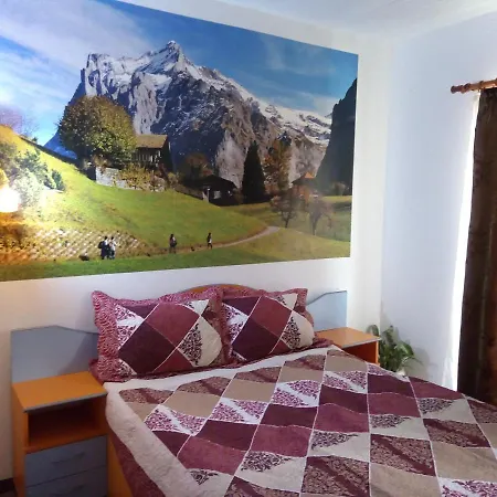 Guest house Pensiunea Serbeca Brosteni