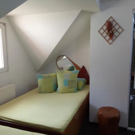 Guest house Pensiunea Serbeca 2*