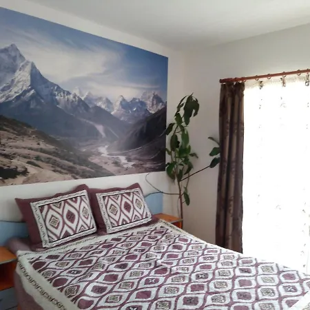 Guest house Pensiunea Serbeca Brosteni