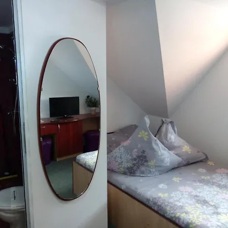 Guest house Pensiunea Serbeca Brosteni