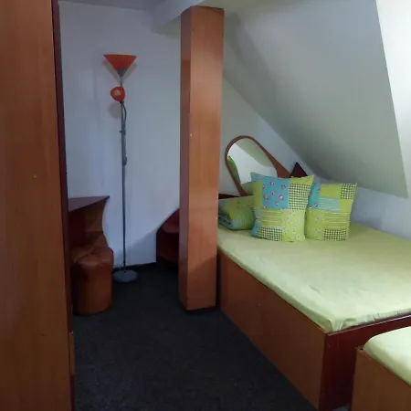 Pensiunea Serbeca Guest house