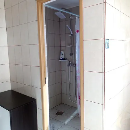Pensiunea Serbeca Guest house Brosteni