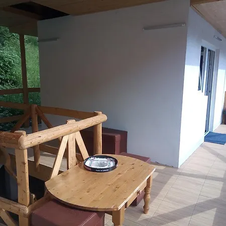 Guest house Pensiunea Serbeca Brosteni