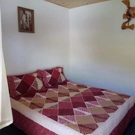 Guest house Pensiunea Serbeca Brosteni