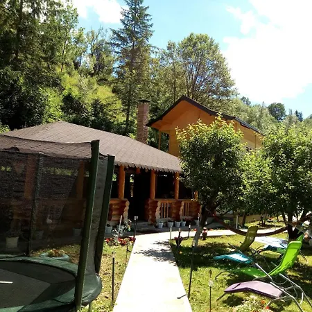 Pensiunea Serbeca Guest house